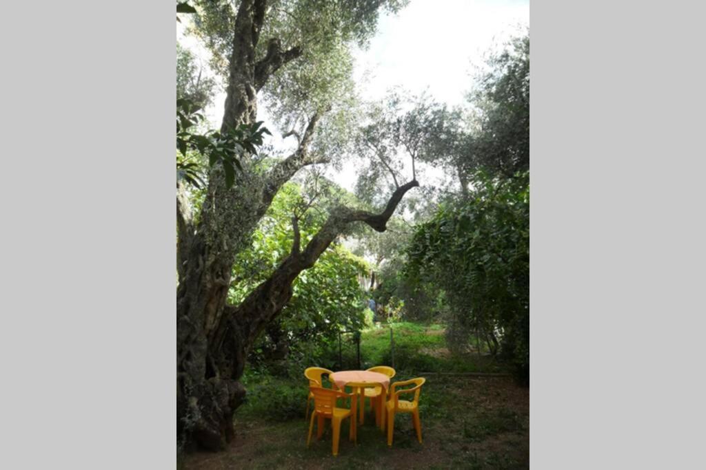 Bmv Room For 2-3 With Greenery View سفيتي ستيفان المظهر الخارجي الصورة